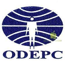 ODEPC RECRUITMENT OF SECURITY GUARD