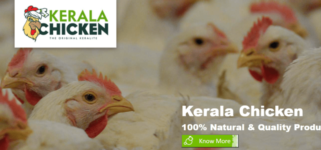 Kerala Chicken Recruitment