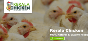 kerala thozhilveedhi vacancies